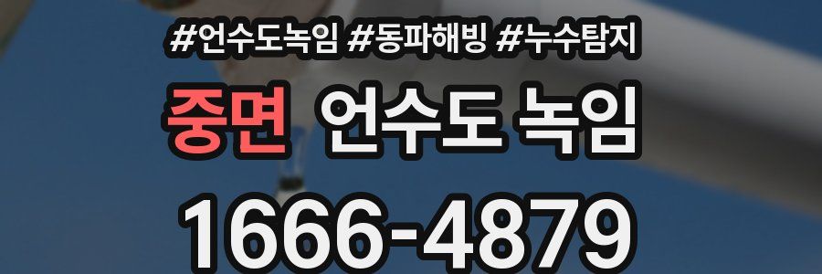 중면 언수도 녹임