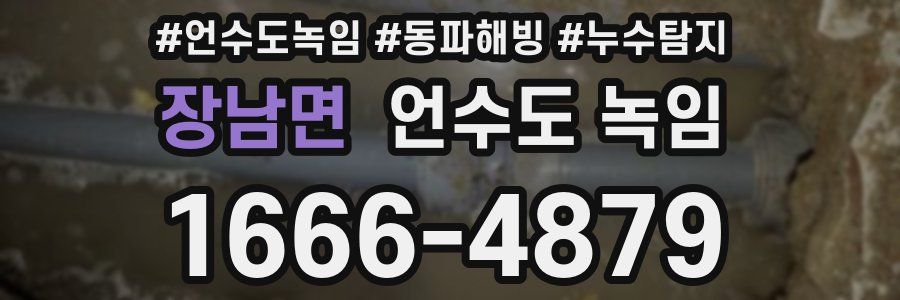 장남면 언수도 녹임