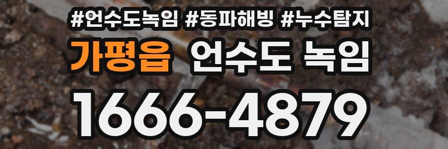 가평읍 언수도 녹임