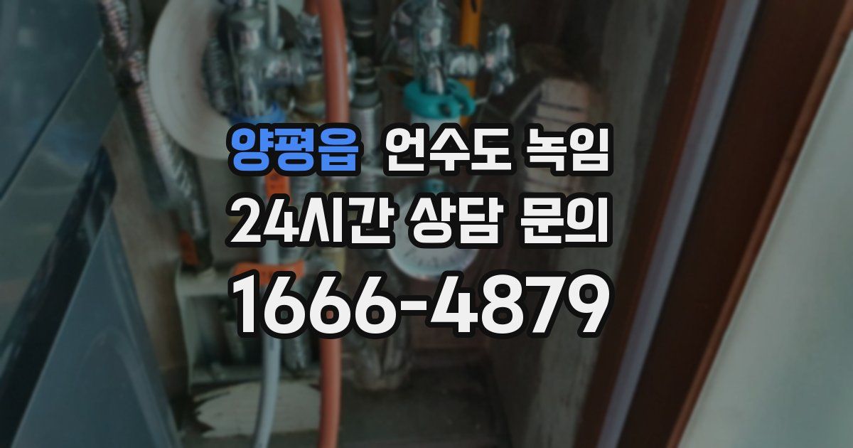 양평읍 언수도 녹임