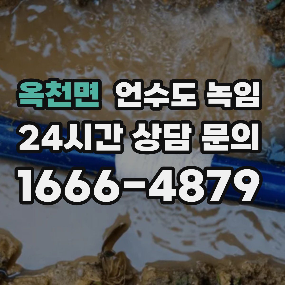 옥천면 언수도 녹임