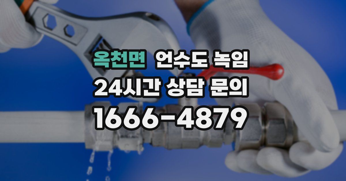 옥천면 언수도 녹임