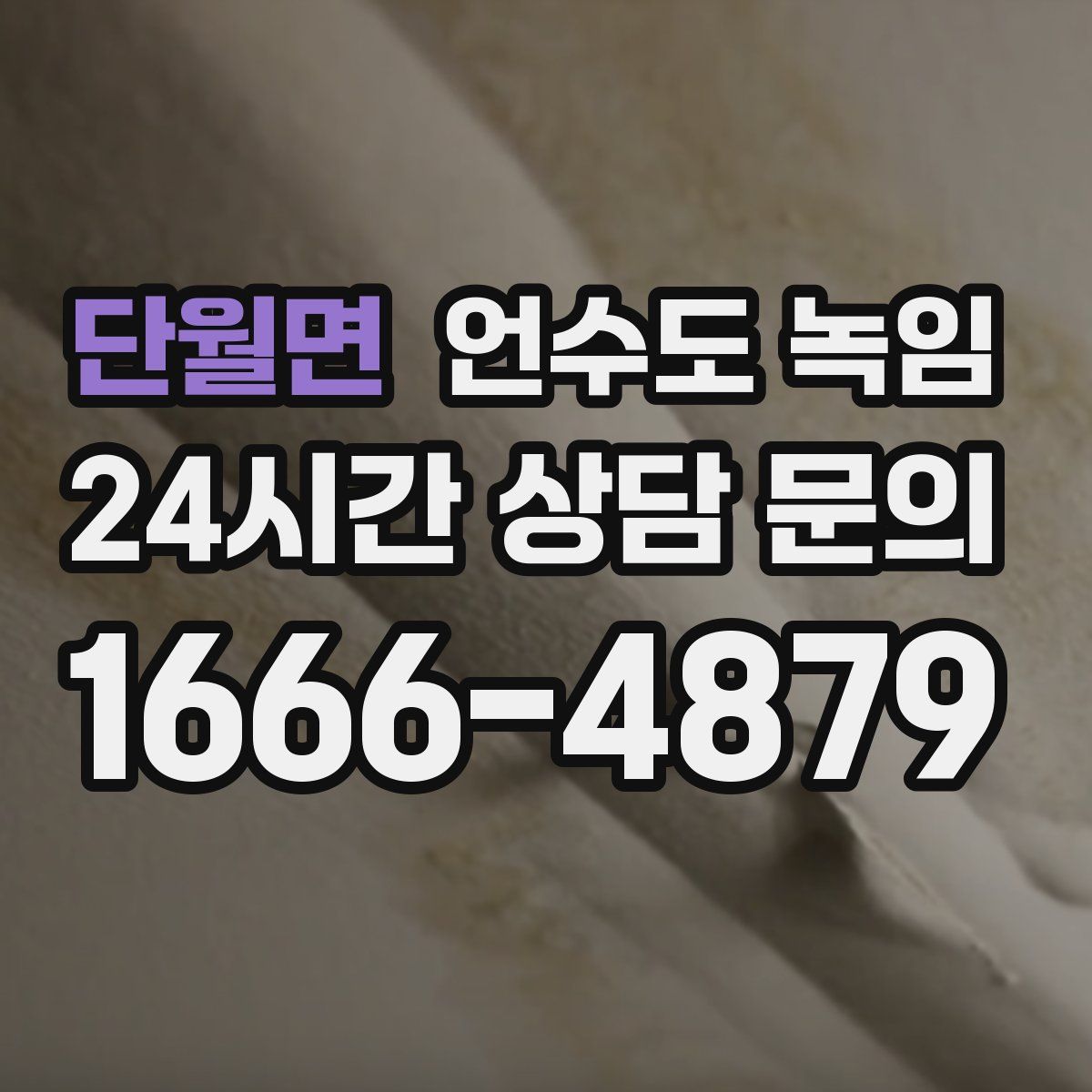 단월면 언수도 녹임