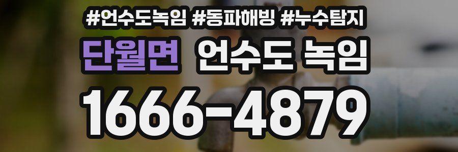 단월면 언수도 녹임