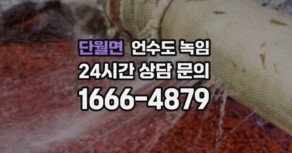 단월면 언수도 녹임