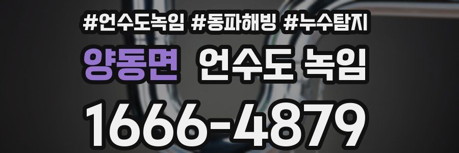 양동면 언수도 녹임