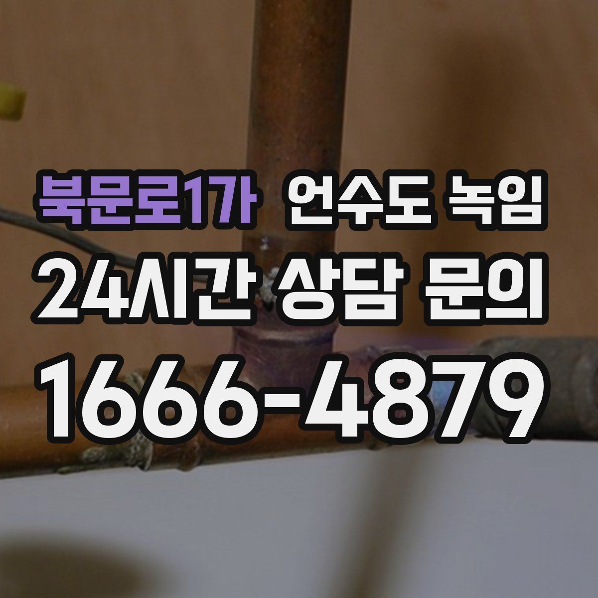 북문로1가 언수도 녹임