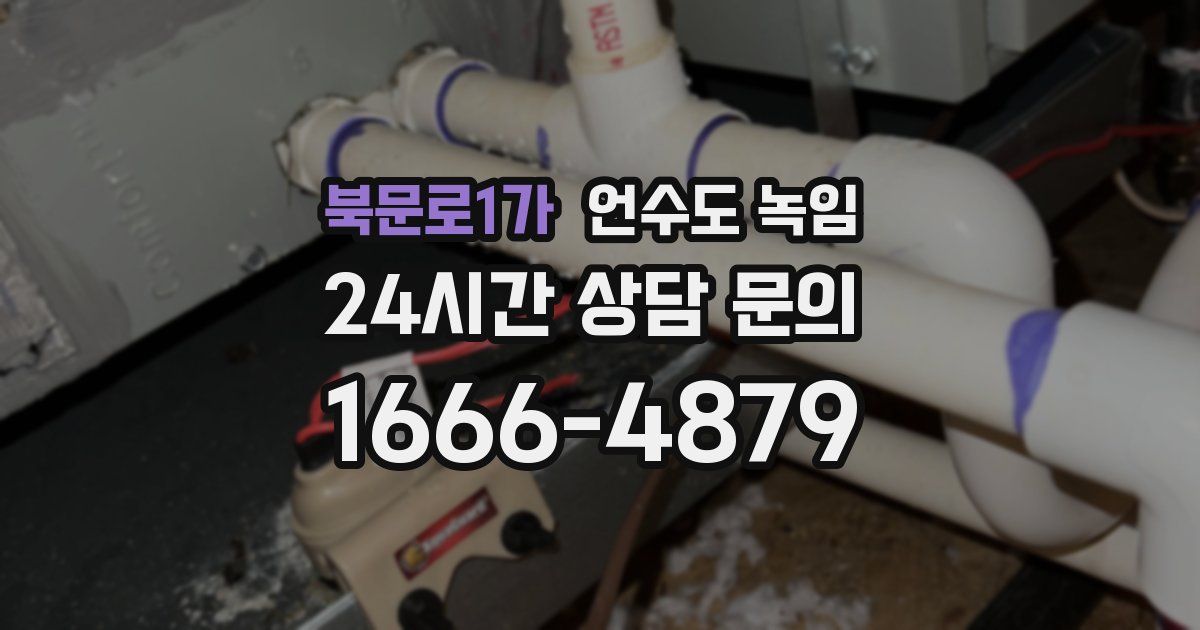 북문로1가 언수도 녹임