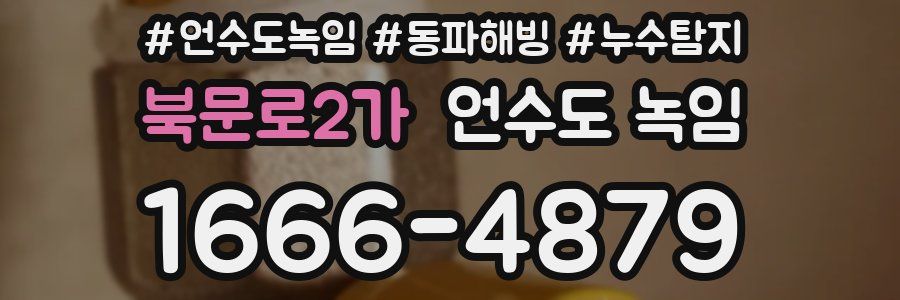 북문로2가 언수도 녹임