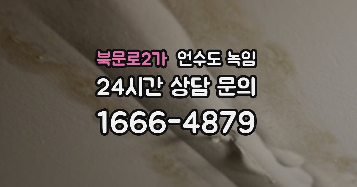 북문로2가 언수도 녹임