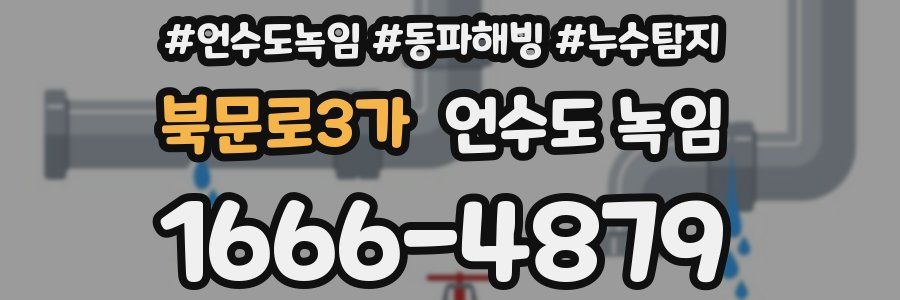 북문로3가 언수도 녹임