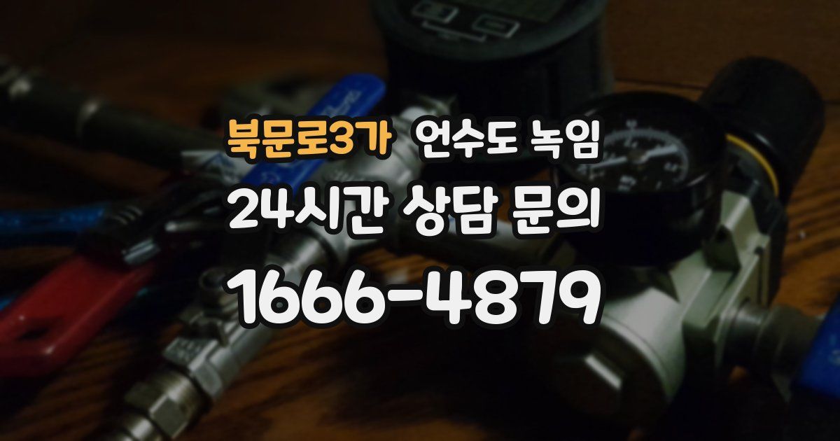 북문로3가 언수도 녹임