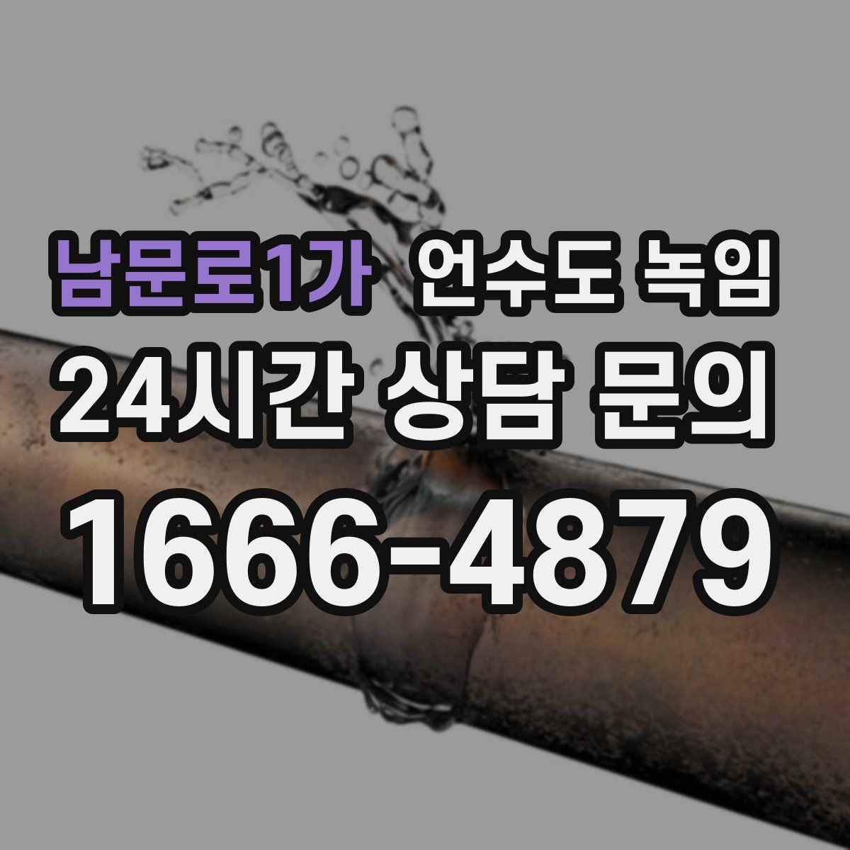남문로1가 언수도 녹임