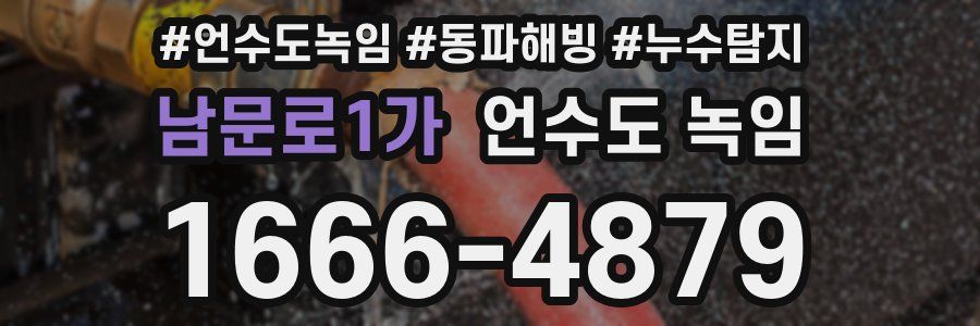 남문로1가 언수도 녹임