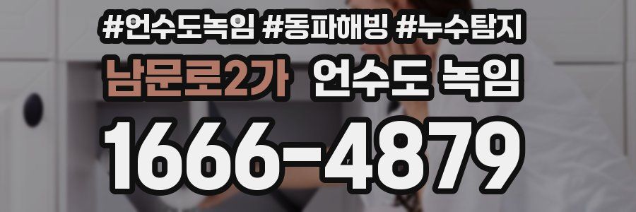 남문로2가 언수도 녹임