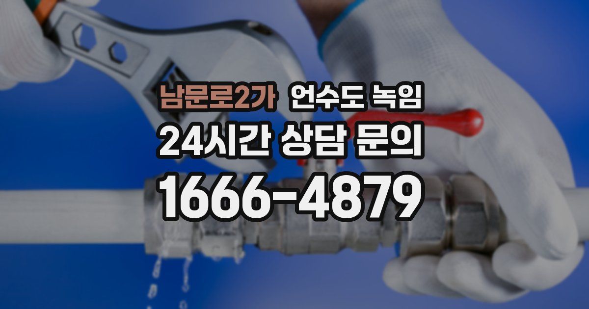 남문로2가 언수도 녹임