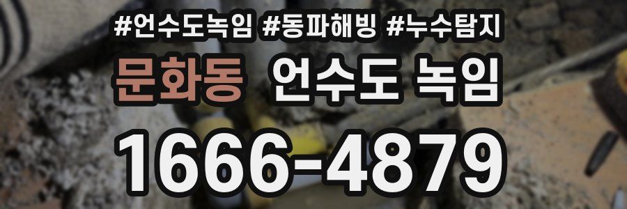 문화동 언수도 녹임