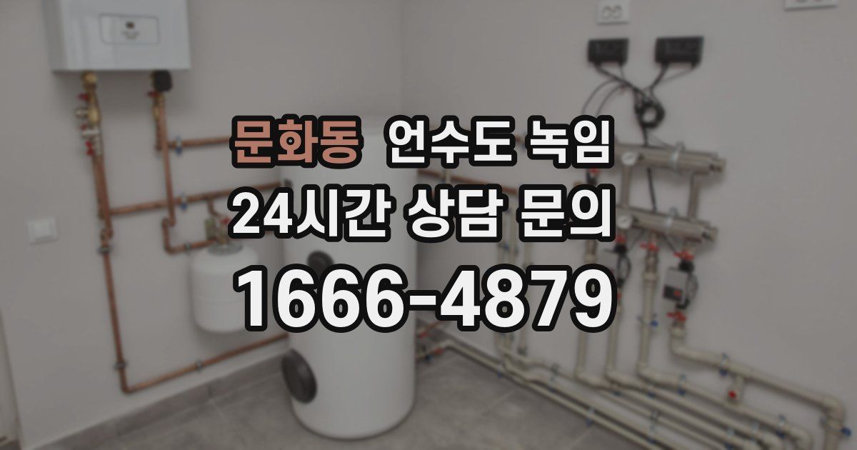 문화동 언수도 녹임