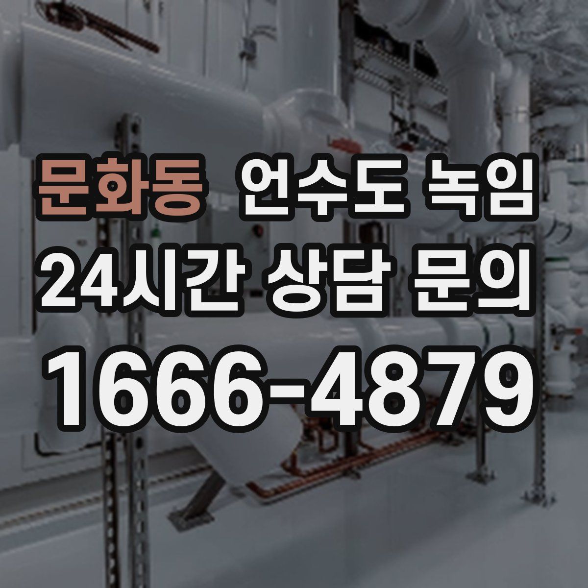 문화동 언수도 녹임