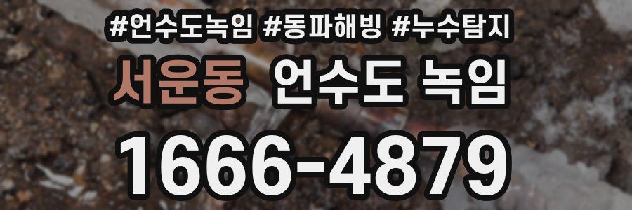 서운동 언수도 녹임