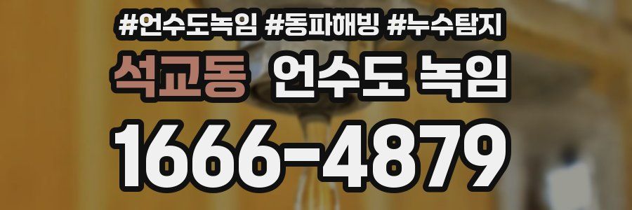 석교동 언수도 녹임