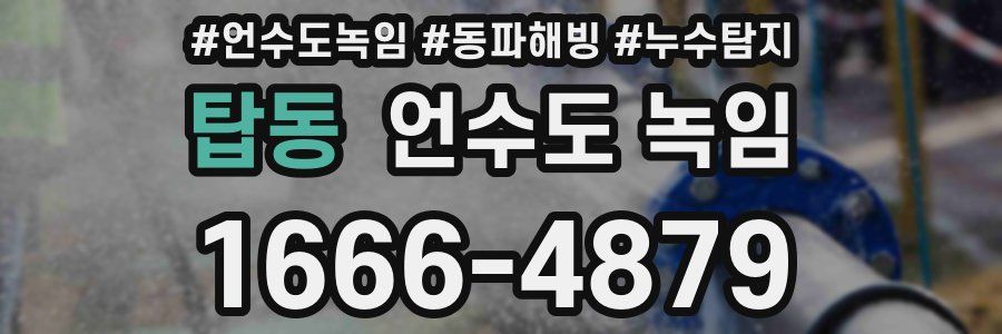 탑동 언수도 녹임