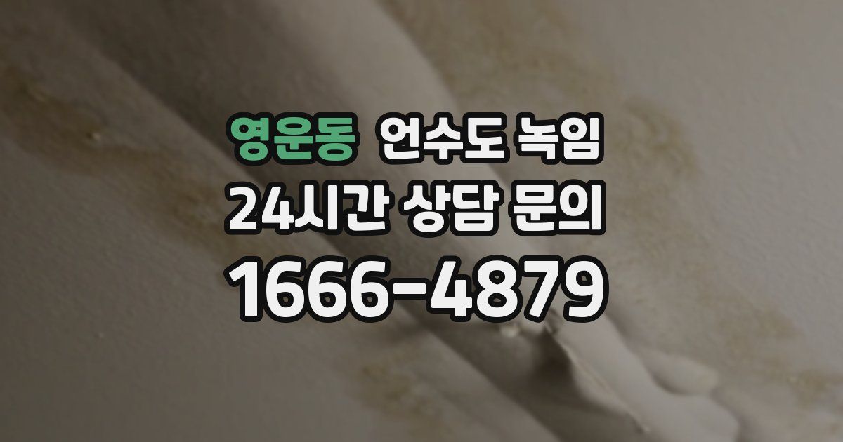 영운동 언수도 녹임