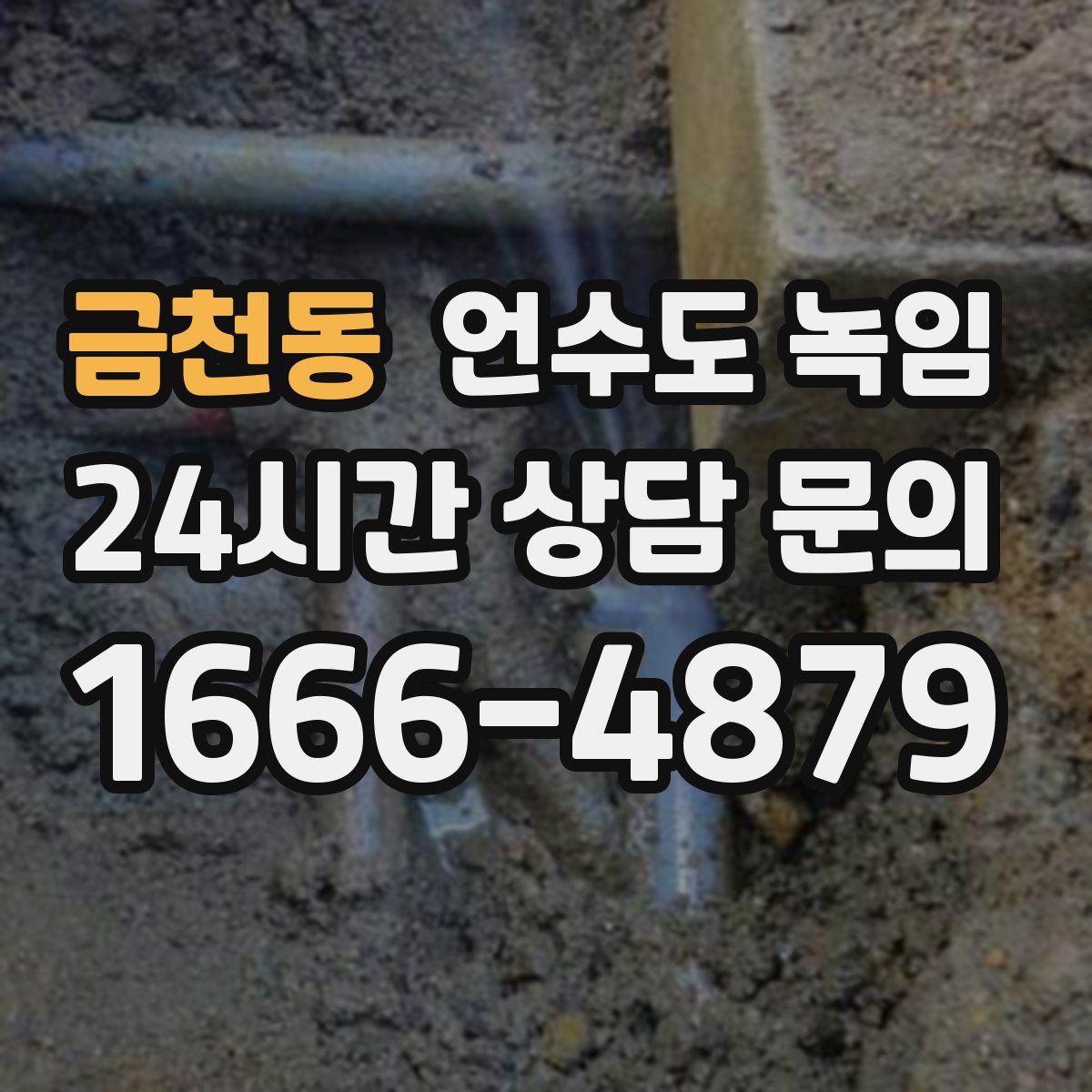 금천동 언수도 녹임