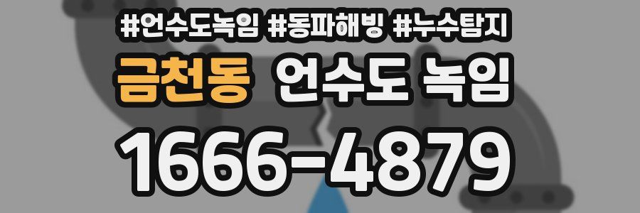 금천동 언수도 녹임