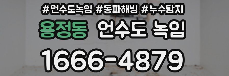 용정동 언수도 녹임