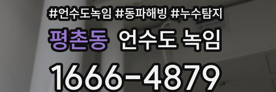 평촌동 언수도 녹임