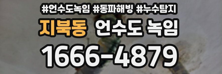 지북동 언수도 녹임