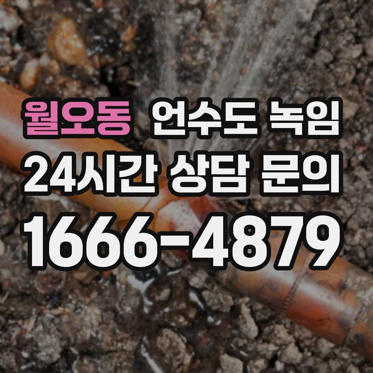월오동 언수도 녹임 해빙 중 꽝 소리 나면 즉시 멈춰야 하는 이유