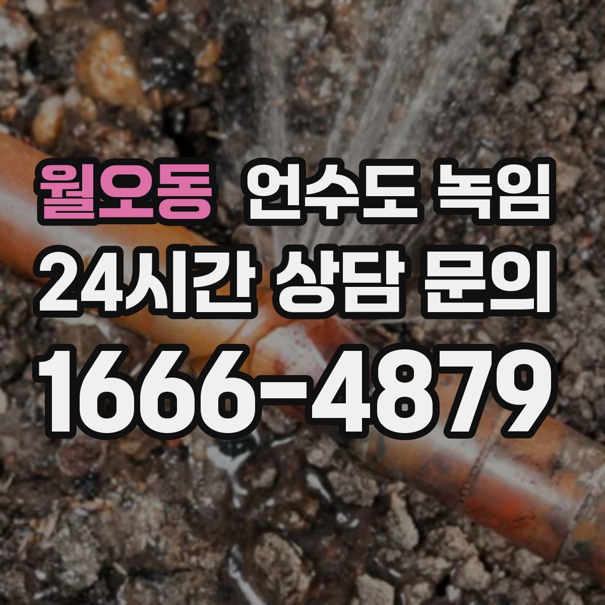 월오동 언수도 녹임