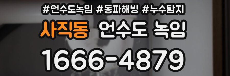 사직동 언수도 녹임