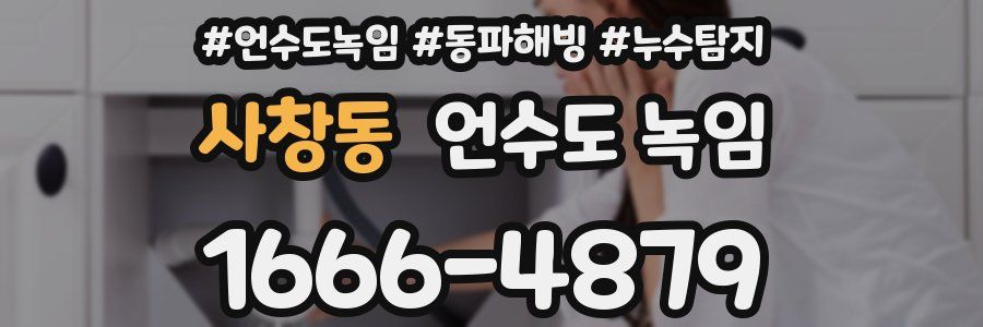 사창동 언수도 녹임