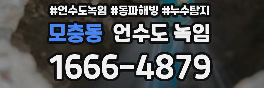 모충동 언수도 녹임