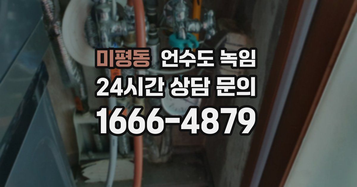 미평동 언수도 녹임