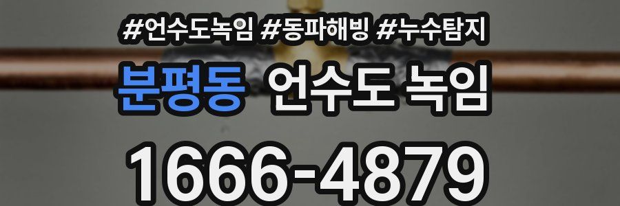 분평동 언수도 녹임