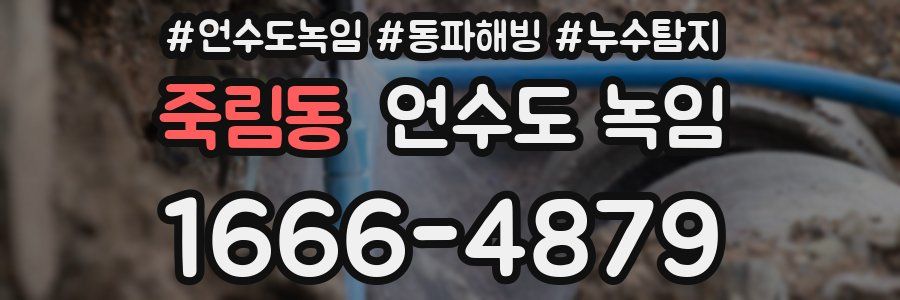 죽림동 언수도 녹임