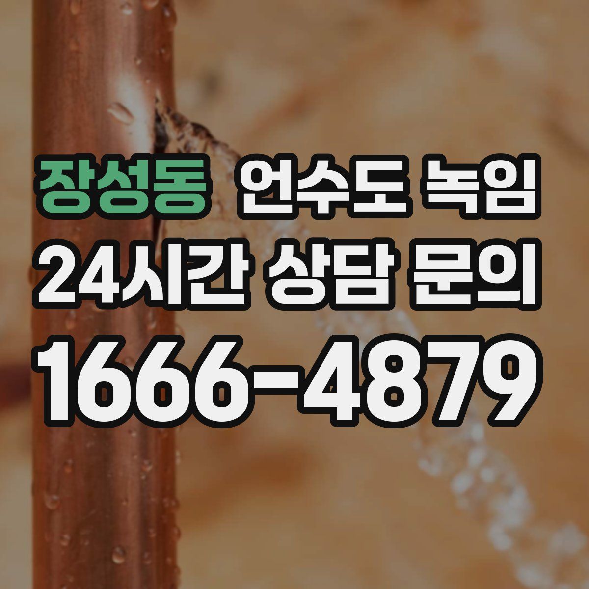 장성동 언수도 녹임