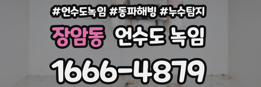 장암동 언수도 녹임