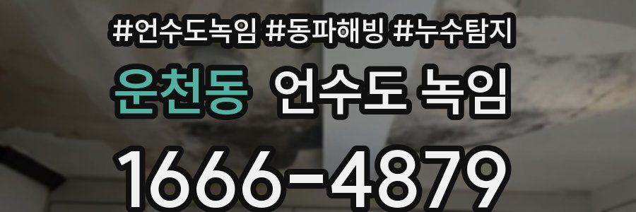 운천동 언수도 녹임