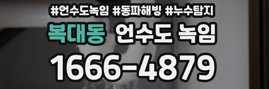 복대동 언수도 녹임