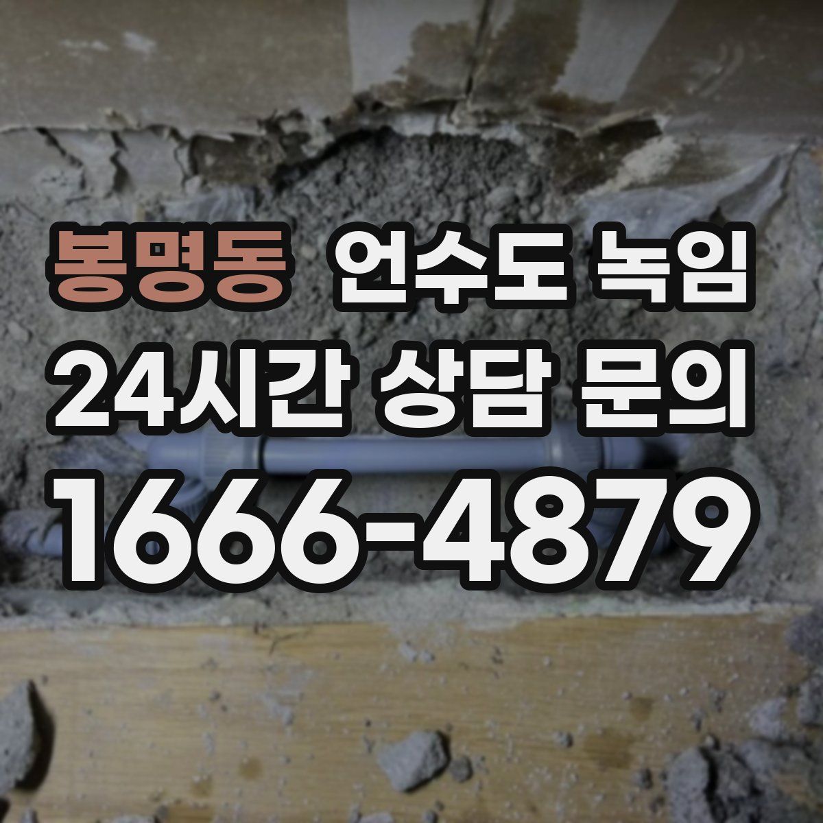 봉명동 언수도 녹임