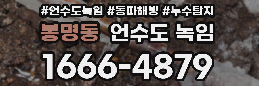 봉명동 언수도 녹임