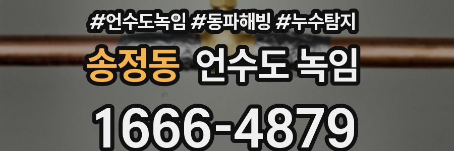 송정동 언수도 녹임