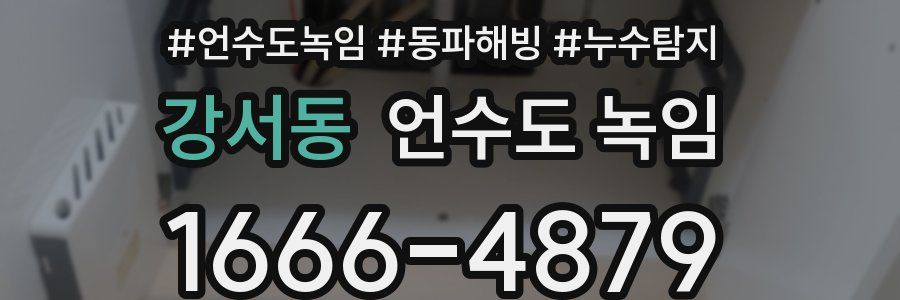 강서동 언수도 녹임