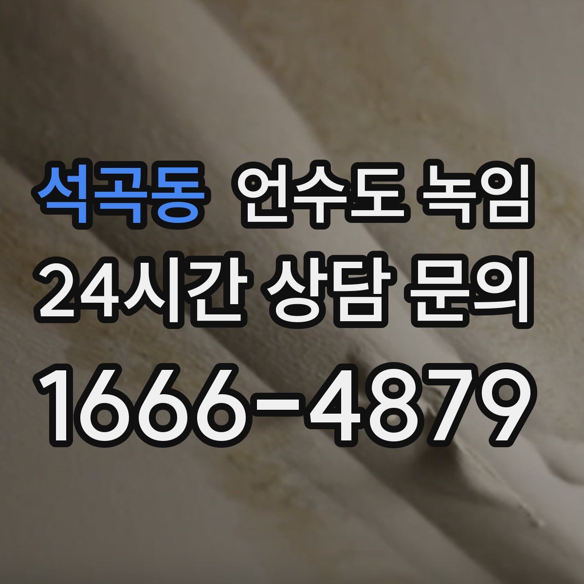 석곡동 언수도 녹임