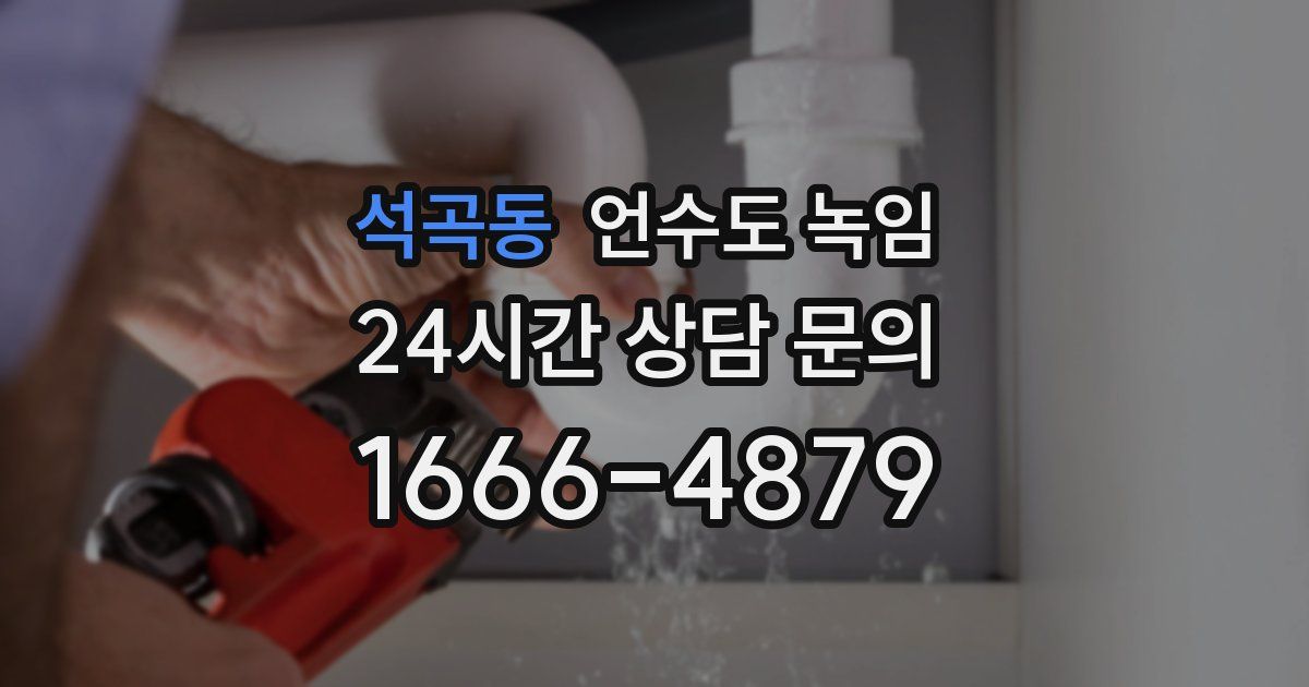 석곡동 언수도 녹임